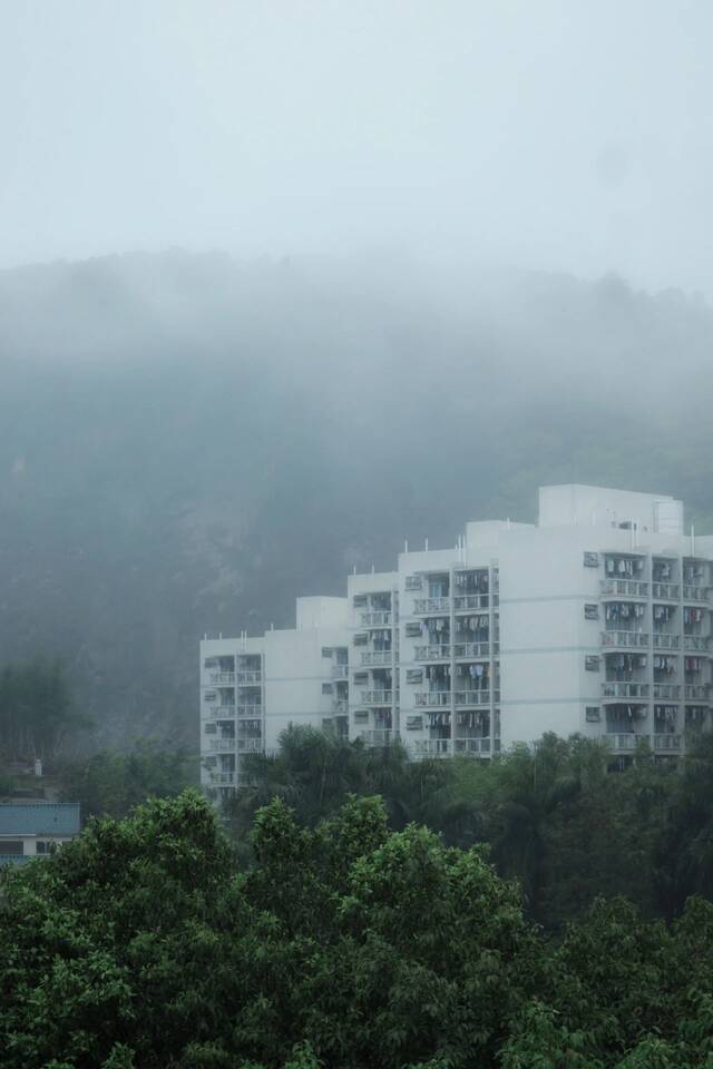 今日清明，“雨中”不同