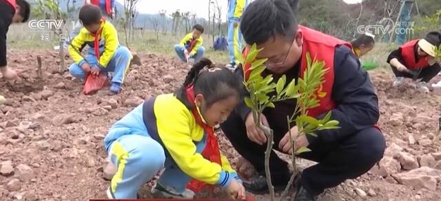 各地掀起植树造林热潮 共同建设美丽中国