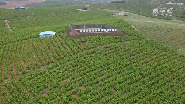 全国两会精神看落实｜广西乐勇村：建设宜居宜业和美乡村