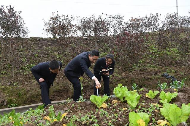 重庆忠县:检察建议让垃圾场变回丰收的沃土