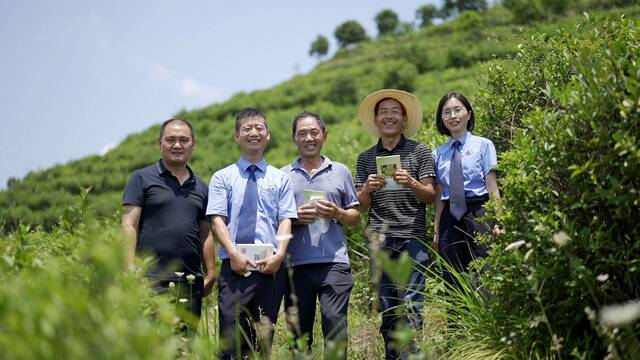 图③:平利县检察院干警在老县镇蒋家坪村茶山了解茶园保护情况,助力乡村振兴。