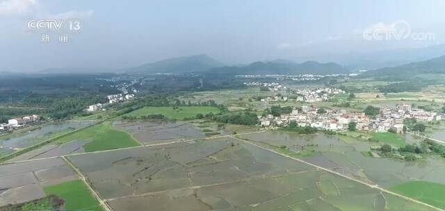 加强国土空间生态修复项目规范实施和监督 保护绿水青山