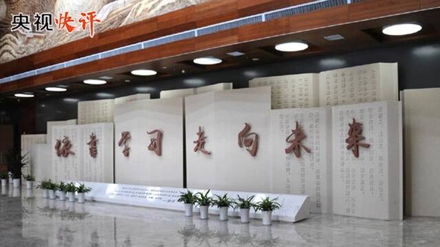 央视快评丨坚持理论学习、调查研究、推动发展、检视整改一体推进