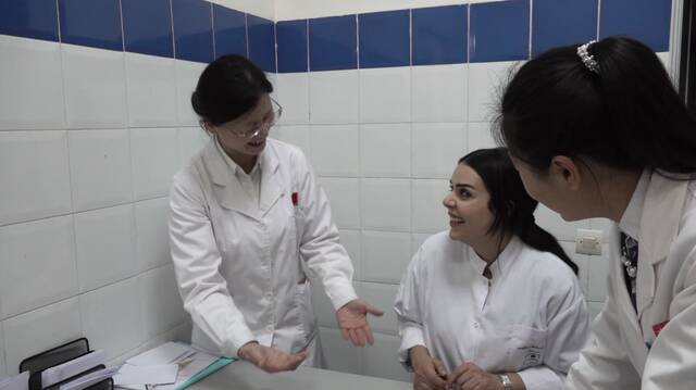 全球连线  中医疗法在摩洛哥深入人心