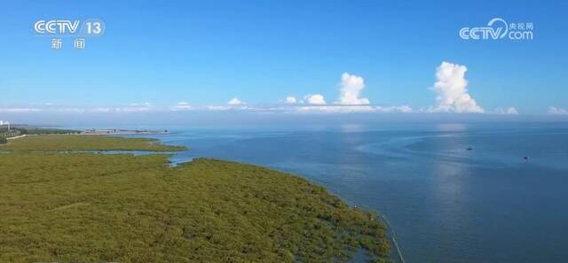 实施山水林田湖草沙一体化保护 修复滨海湿地2640公顷