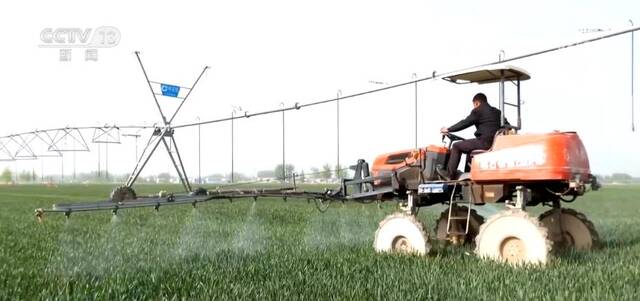安徽砀山57万亩小麦实行立体式管理 保障夏粮丰产丰收
