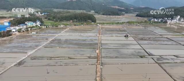 春耕进入大忙时节 福建全省插秧已超50万亩