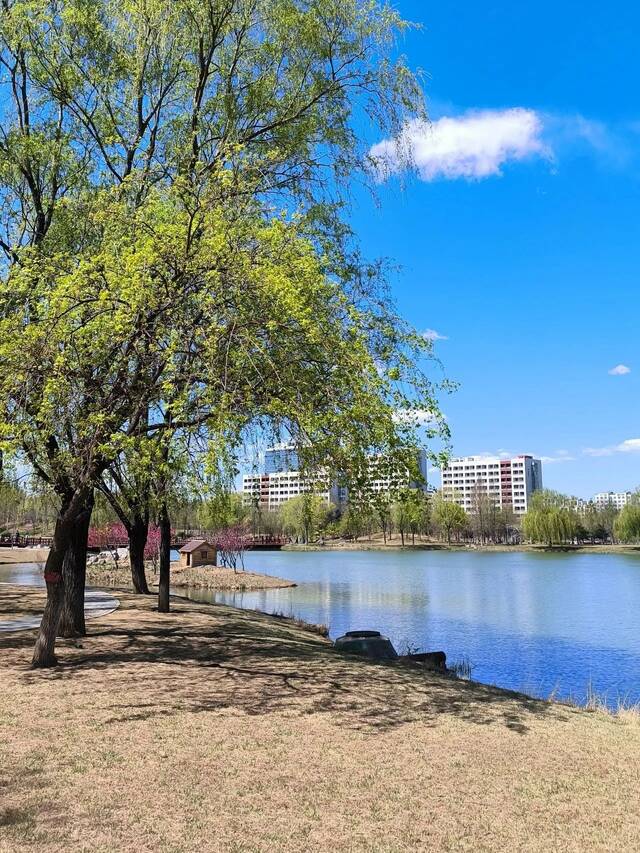 春天，花在枝头，“理”在心头