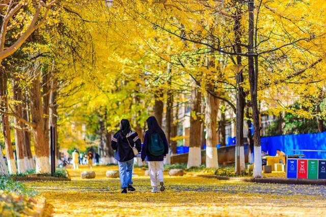 这就是，云南大学！