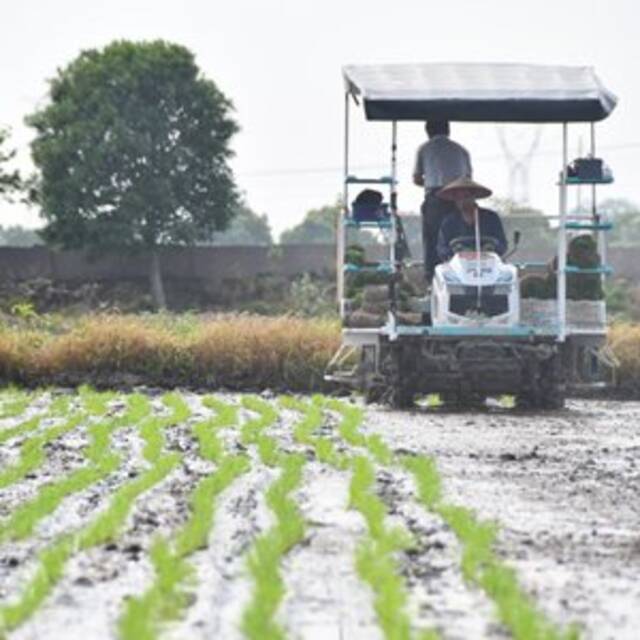 新华全媒+丨谷雨时节春耕忙——各地加快春耕春播生产见闻