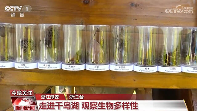 多地中小学、幼儿园组织走进大自然活动 让孩子近距离感受生物多样性魅力