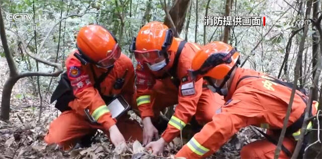 国家森防指办公室对10个高火险地区开展森林草原防灭火督查