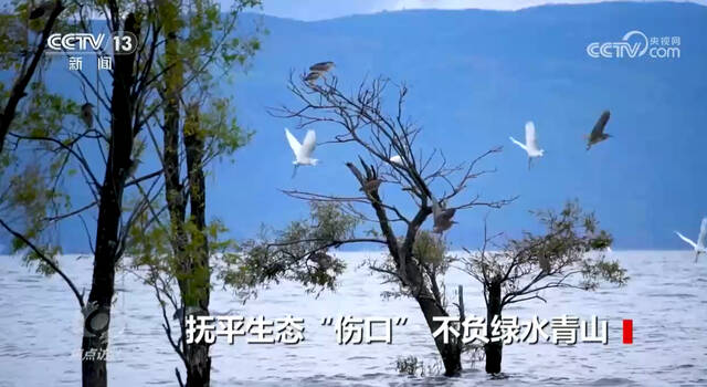 焦点访谈：抚平生态“伤口” 不负绿水青山