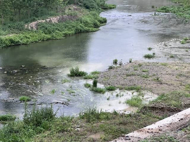 污水直排入泗河记者江晓晨摄