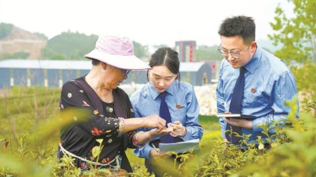 履行检察职能 保护地理标志