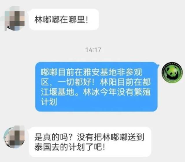 大熊猫“小丫”去世，曾因长相潦草走红