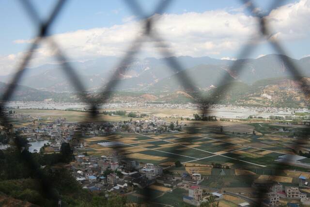 冕宁打造“油橄榄小镇”。（何川摄）