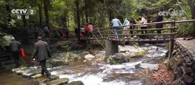 千岛湖原生态峡谷成为旅游新热点 自然生态之美让人流连忘返