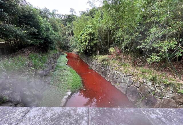 台媒：台北市内湖区内沟溪突然“血流成河”，当地里长解释原因