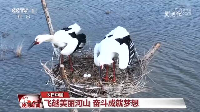 飞越美丽河山 奋斗成就梦想