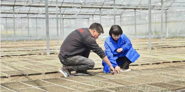 新华全媒+｜父女接力 耕耘在希望的田野上