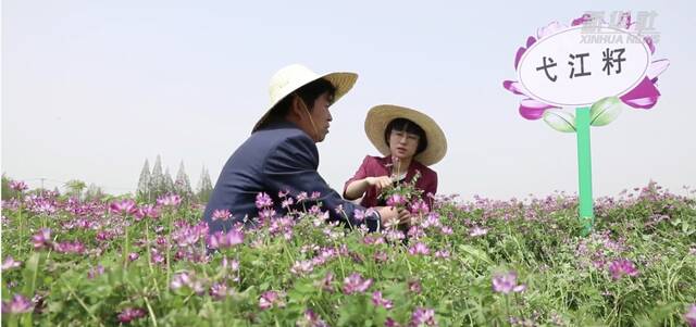 新华全媒+｜父女接力 耕耘在希望的田野上