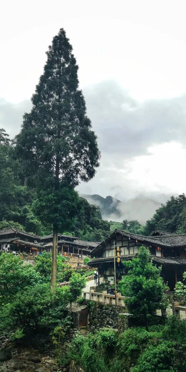 “美食荒漠”？ 温州：不存在的！