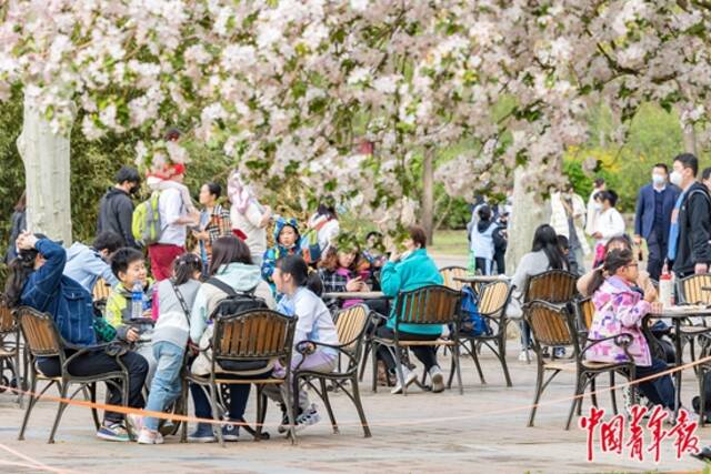 4月的北京动物园内，人们在露天休息区休息、交流、吃饭。林天羽/摄