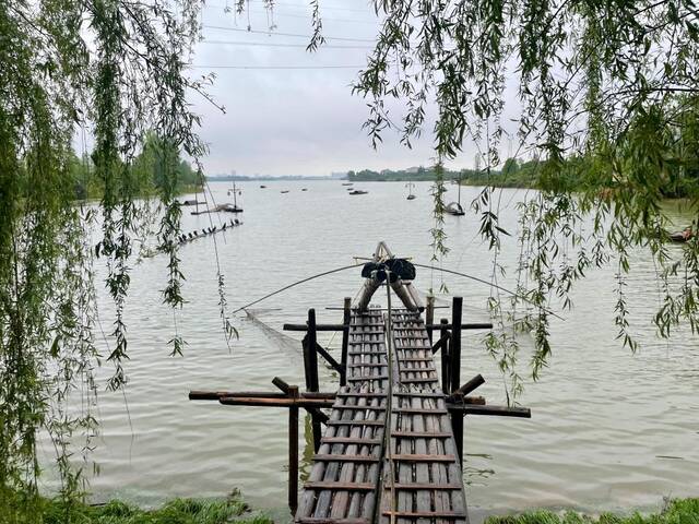 4月18日拍摄的湖南省沅江市湖区一角。新华社记者苏晓洲摄