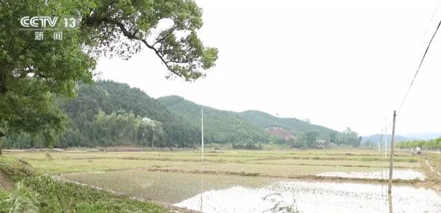 南方多地强降雨  江西新干：降雨停歇洪水退去 清淤消杀展开