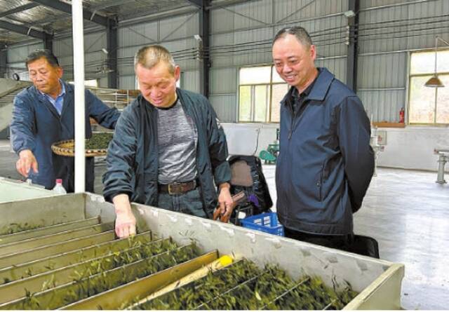 陈学友(中)向来访人员介绍黄荆塘村茶产业发展情况。
