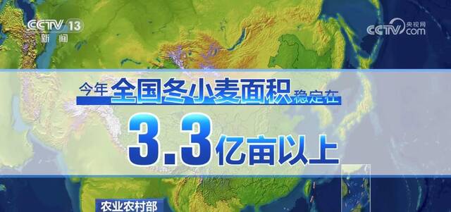 在希望的田野上  西南麦区迎来大面积开镰收获