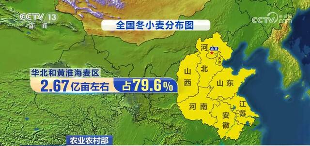 在希望的田野上  西南麦区迎来大面积开镰收获