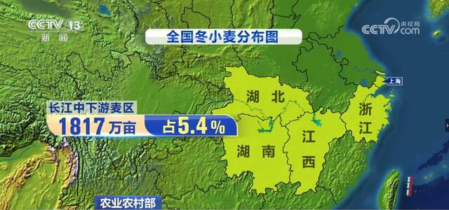 在希望的田野上  西南麦区迎来大面积开镰收获