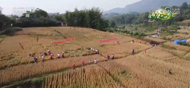 在希望的田野上  耕地设施改造升级 打开丘陵山地增产空间