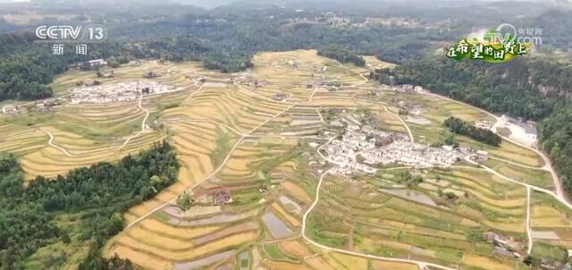 在希望的田野上  耕地设施改造升级 打开丘陵山地增产空间