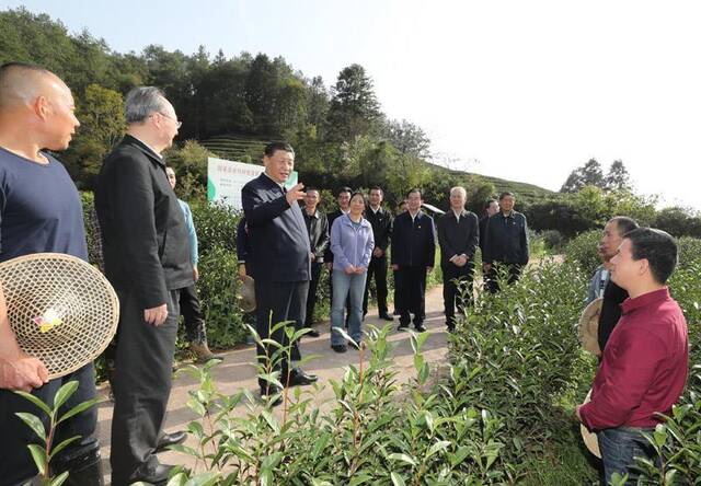 △2021年3月22日，习近平总书记在福建南平武夷山市星村镇燕子窠生态茶园，同科技特派员、茶农亲切交流，了解当地茶产业发展情况。