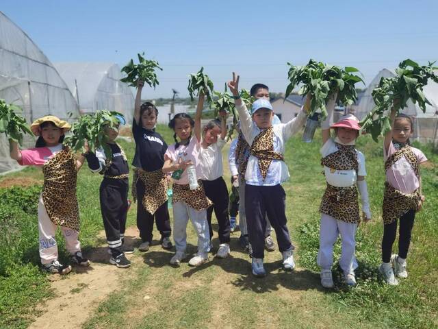 来自武汉市中心城区的一群孩子在园区体验采摘。（受访者供图）