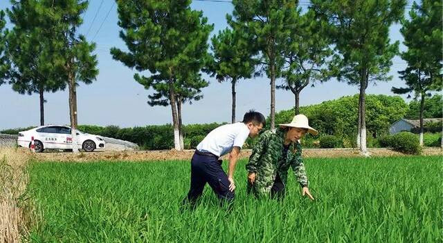 岑志刚：努力打造保险支持共同富裕的“浙江样板”