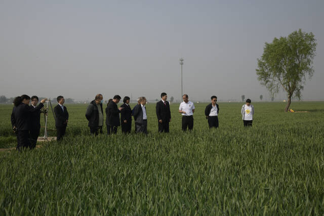 浚县检察院组织村干部代表、民警、律师等实地察看涉案生产路。