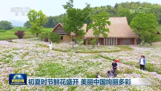 初夏时节鲜花盛开 美丽中国绚丽多彩