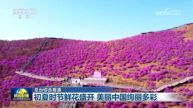 初夏时节鲜花盛开 美丽中国绚丽多彩