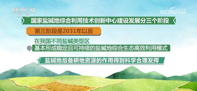 加速盐碱地利用技术创新 综合利用从“治理”转向“适应”