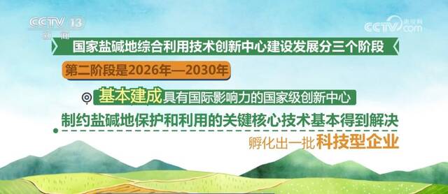 加速盐碱地利用技术创新 综合利用从“治理”转向“适应”