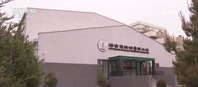 多彩中亚 丝路新篇  鲁班工坊 跨文化交流的民间使者