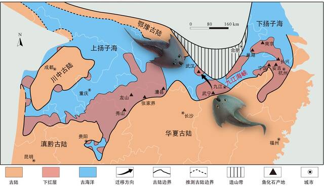 江西九江武宁地区志留系下红层清水组中的真盔甲鱼类一新种—九江江夏鱼