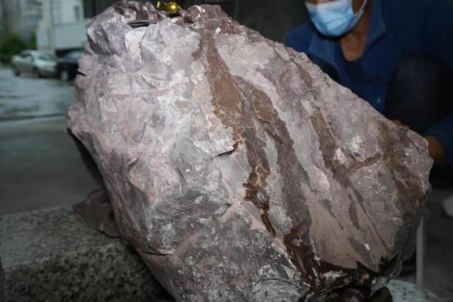 图为上杭县发现的恐龙蛋化石（受访者供图）