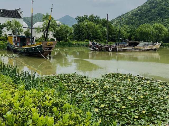 新建村风景。新华网宿鑫摄