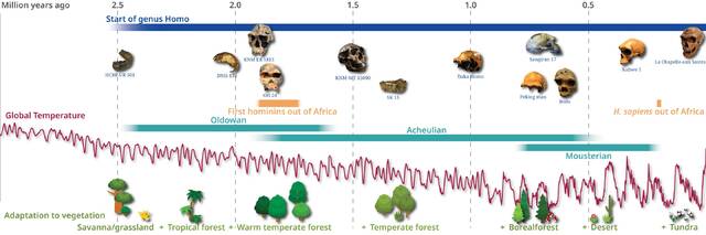 《科学》杂志：研究揭示过去300万年里人类对不同生物群落的适应性