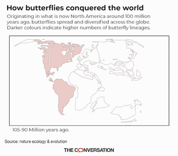 蝴蝶是如何征服世界的：新“家谱”追溯了它们跨越全球一亿年的旅程